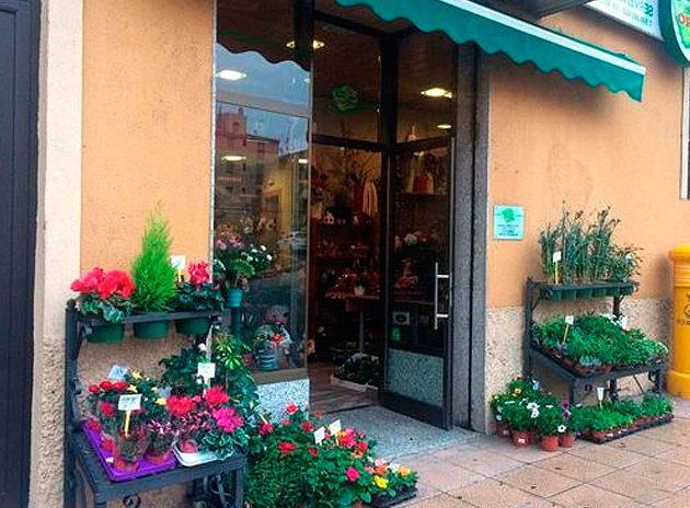 Floristería en Valls | Serveis Actius