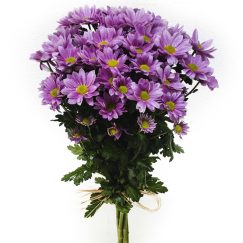 ▷ Floristería en Valtierra -【 Envío Flores Valtierra 】- Envío ...