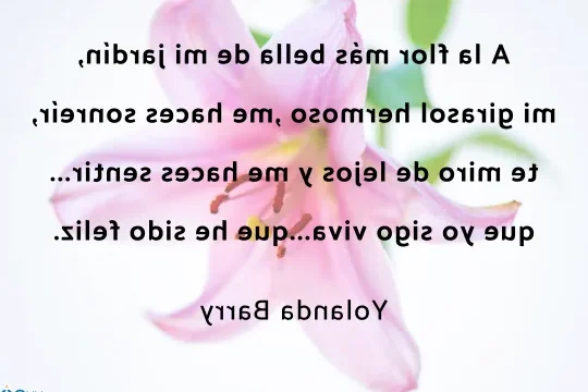 Poemas de flores - ¡La mejor selección de poesías originales y ...